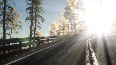 Road-in-the-Forest